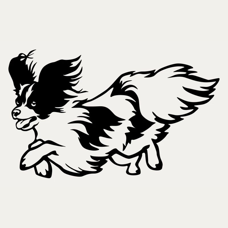 Papillon