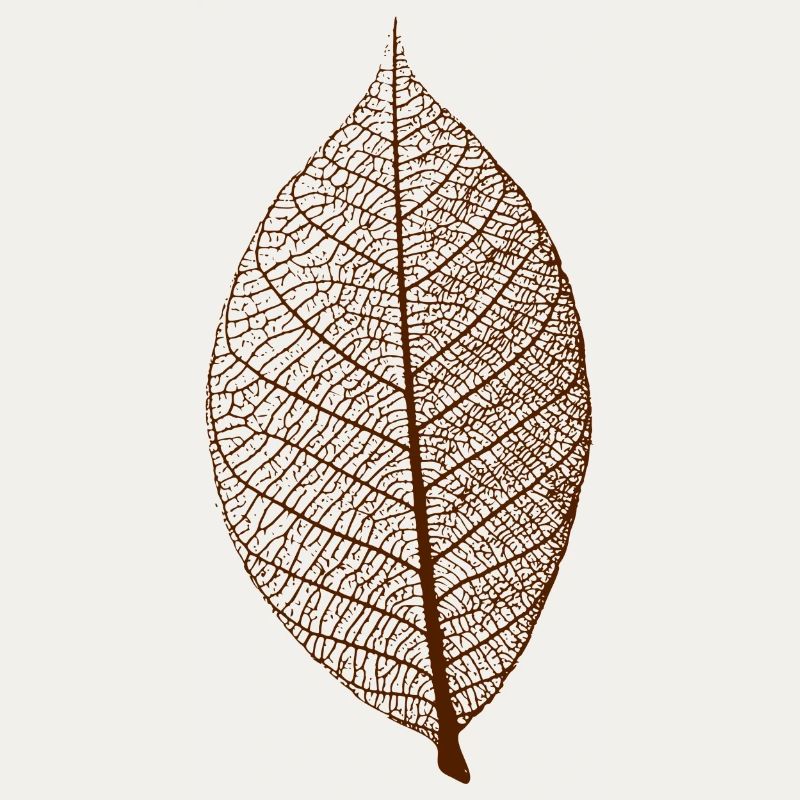 leaf tree forest skeleton pattern nerve love heart