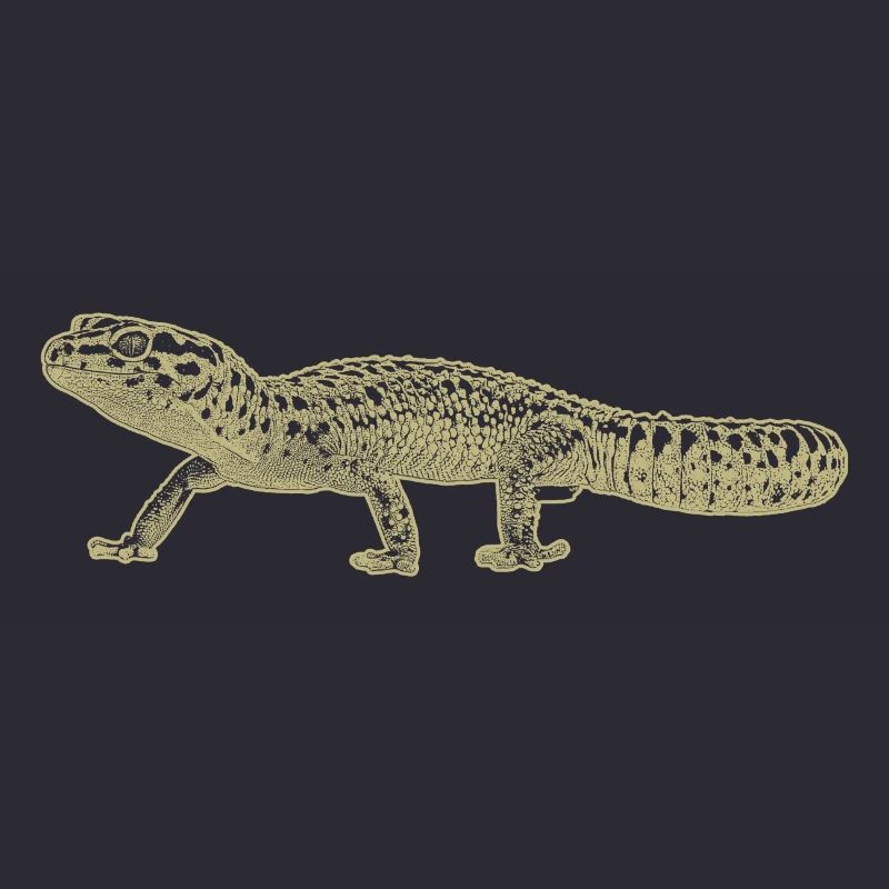 Leopardengecko