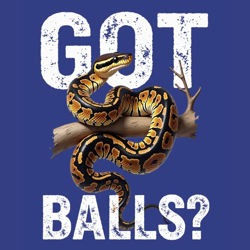 Python roi Serpents Amateurs de terrarium Python