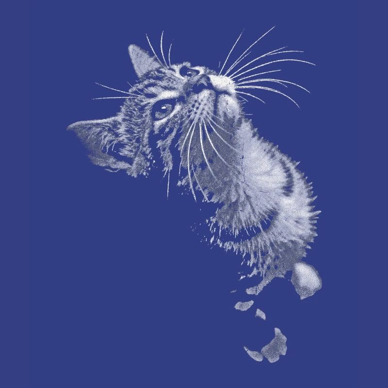 Regard de chat ronronnant en niveaux de gris