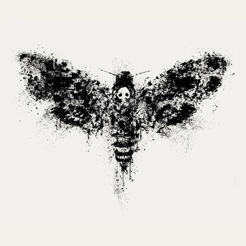 moth