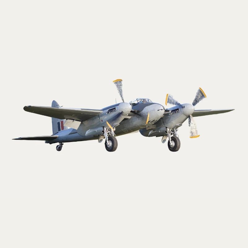 Mosquito