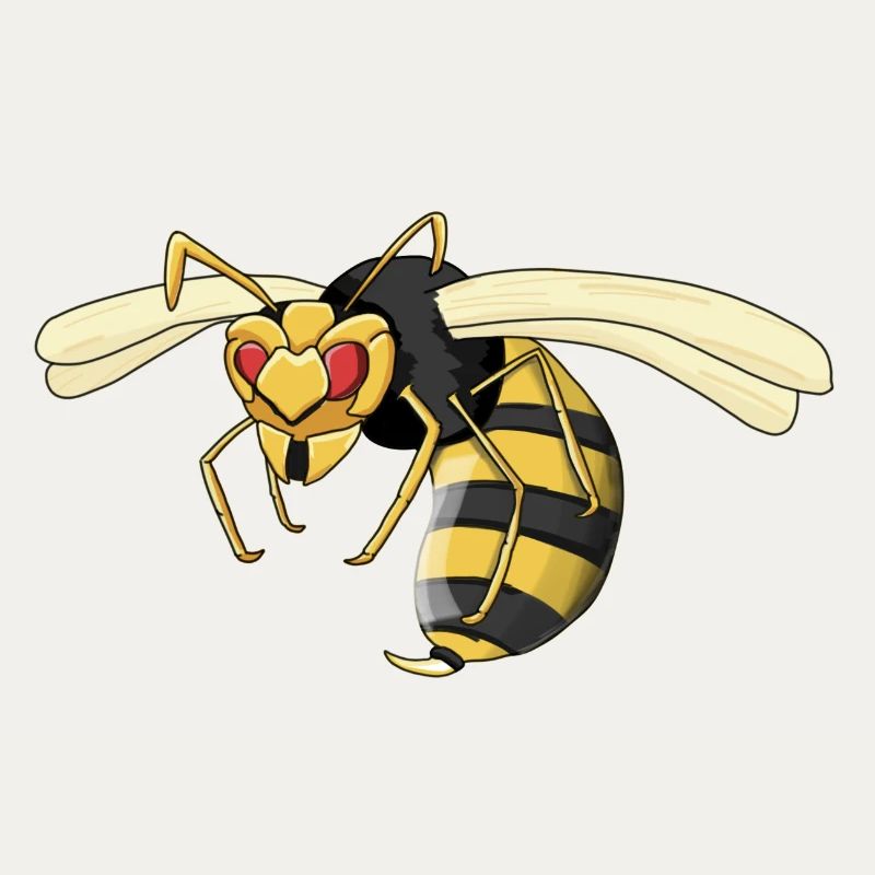 wasp