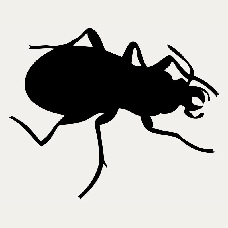 Bug
