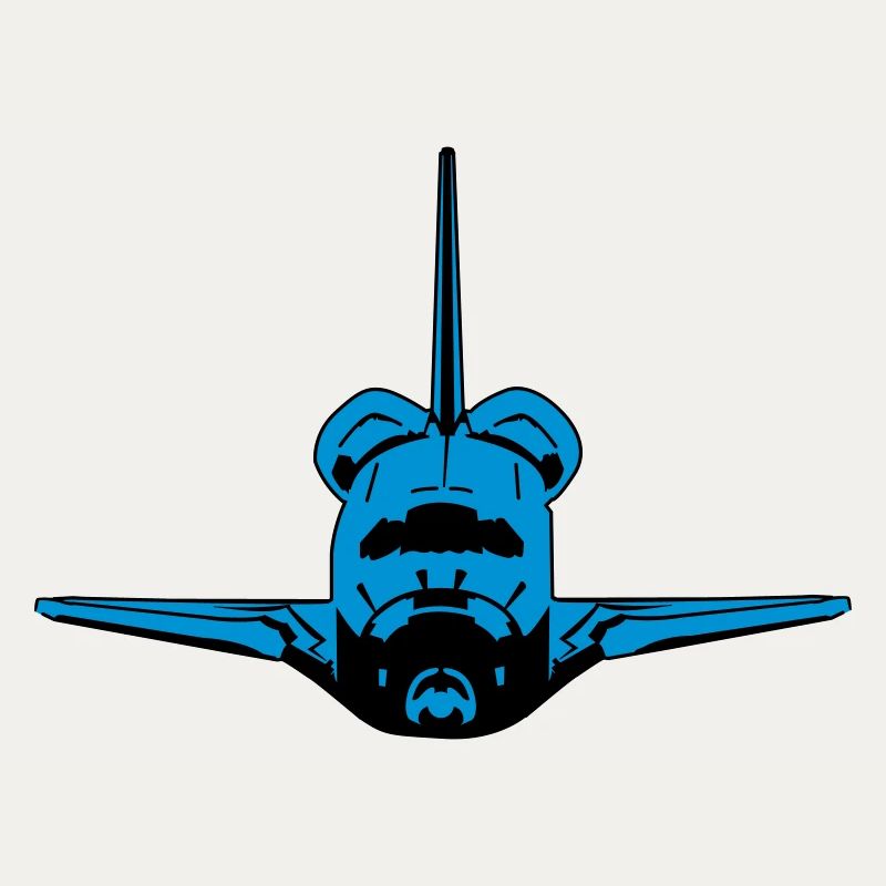 Space Shuttle