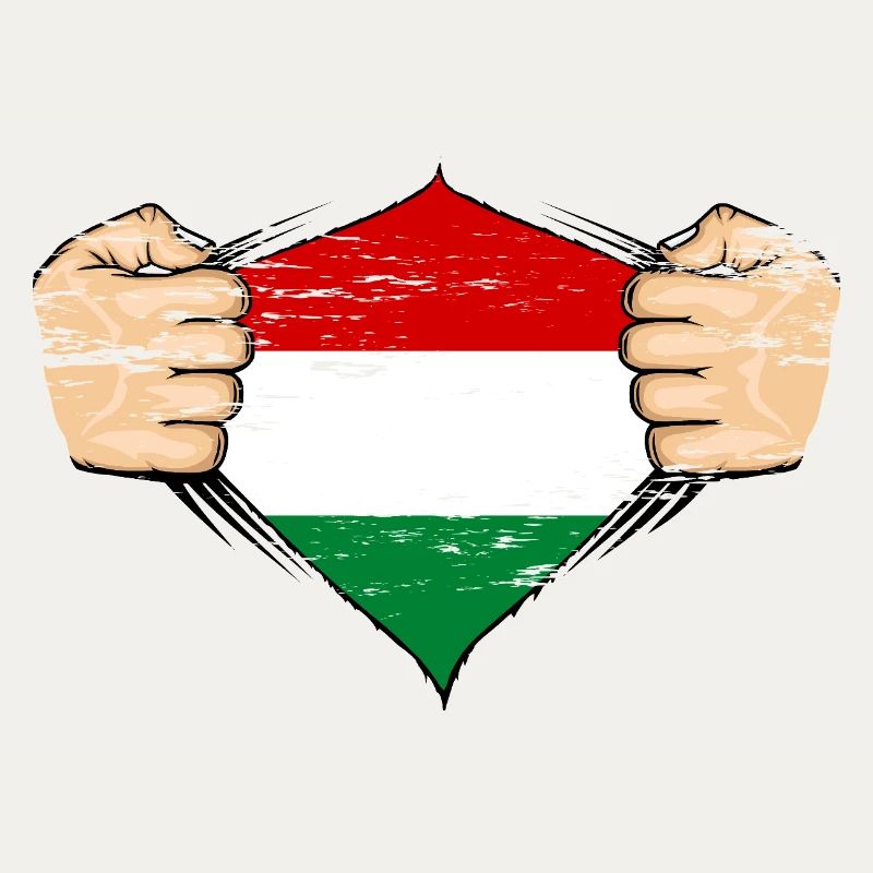 Drapeau de la Hongrie utilisé