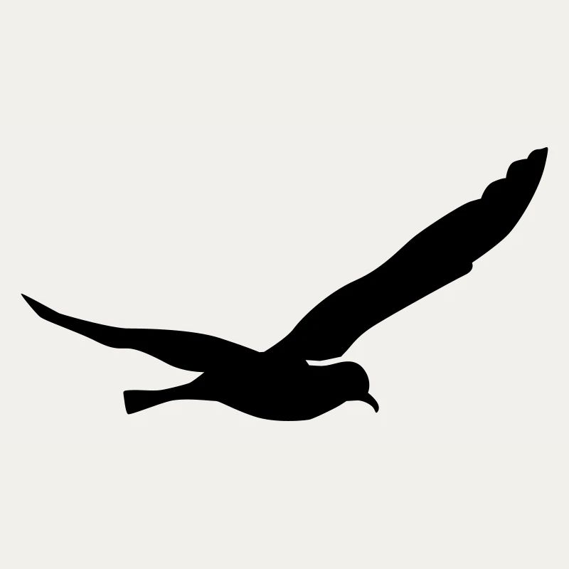 Möwe