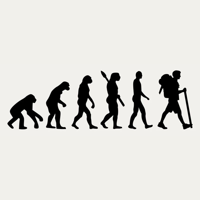 Évolution Cheminement