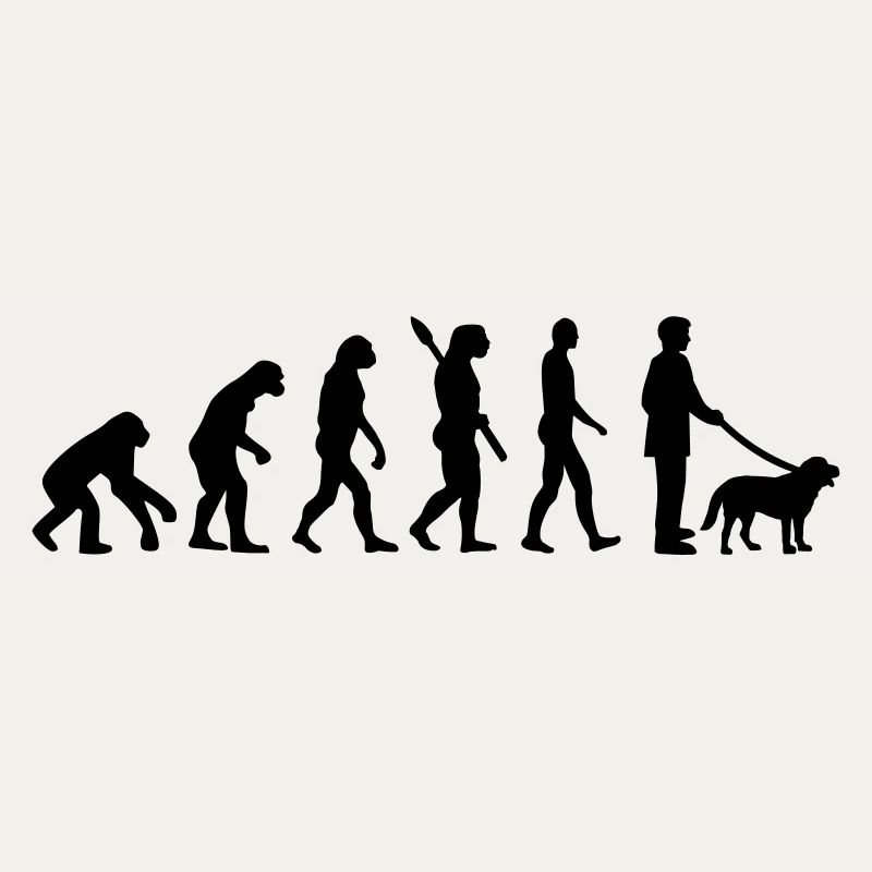 Évolution Chien