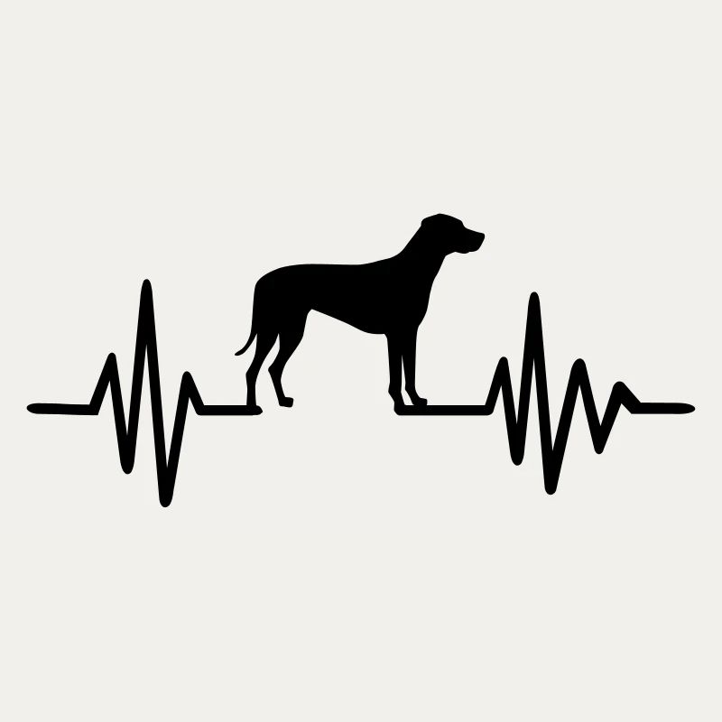 Rhodesian Ridgeback