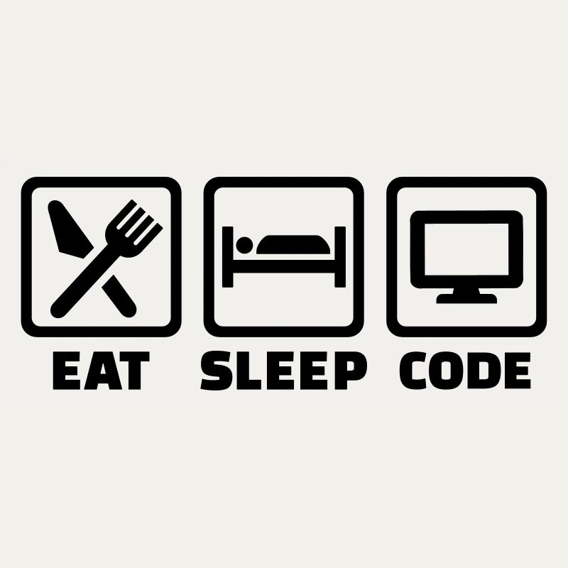 Programmer