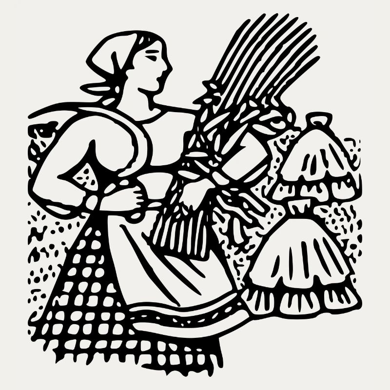 corn corn maize cereal veggie vegetables vegetables