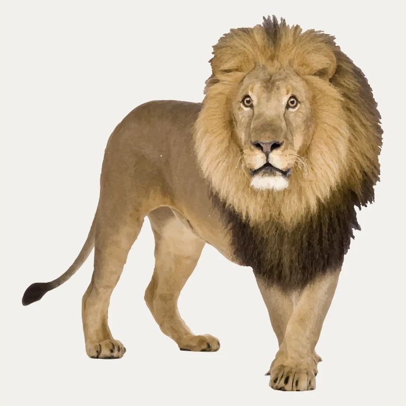 Löwe