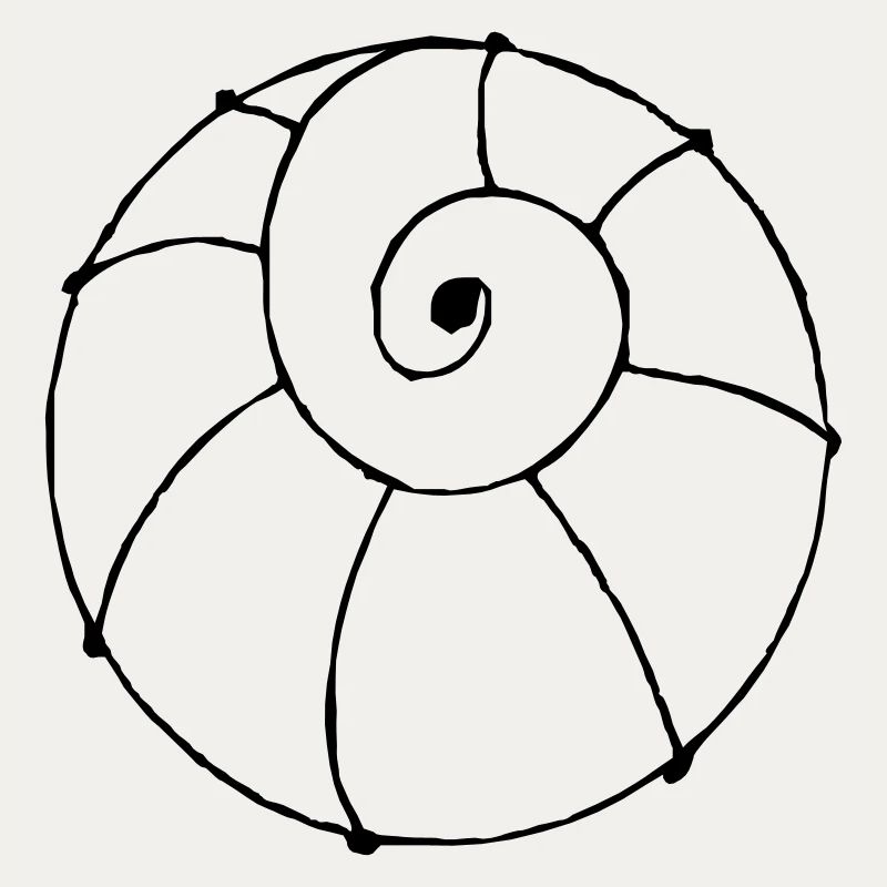 shell