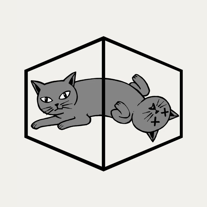 Le chat de Schrödinger