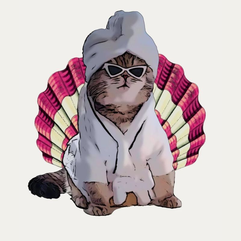 chat cool dans le spa