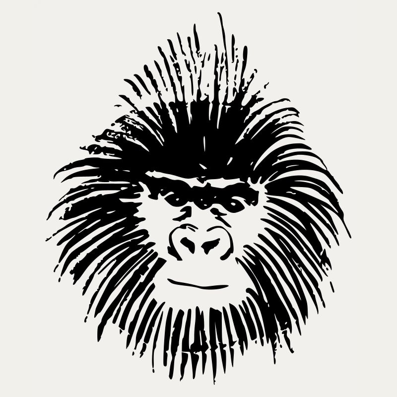 monkey