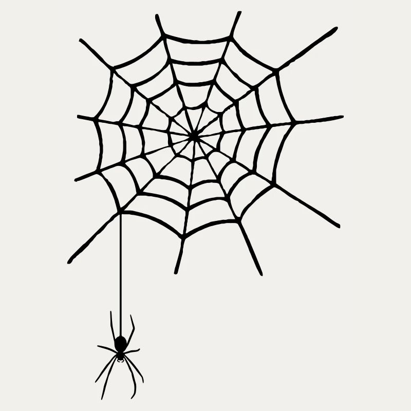 Cobweb with spider
