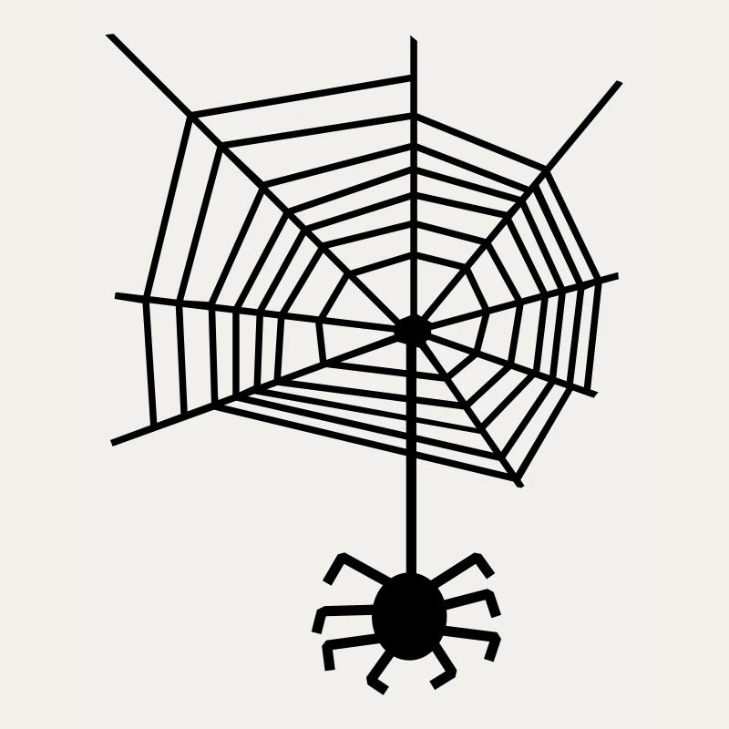 Spider web spiderweb Spider