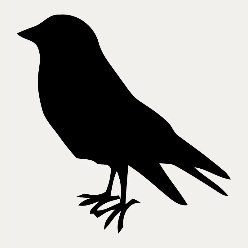 oiseau oiseaux oiseaux tôt