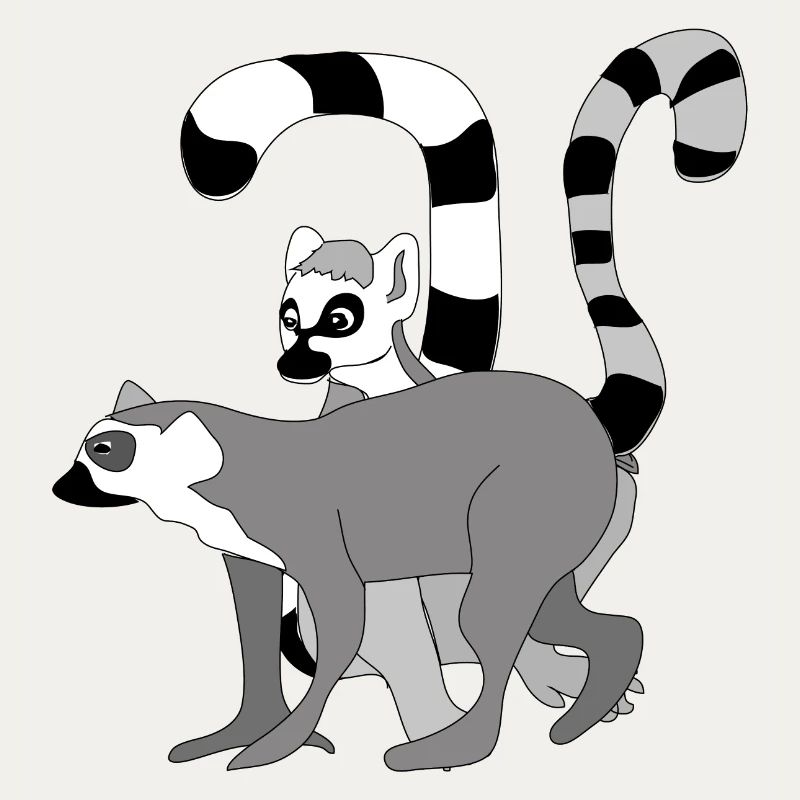 Kattas