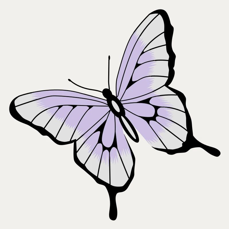 Schmetterling