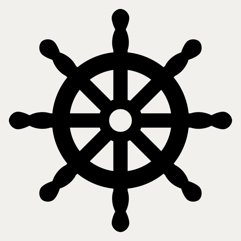 steering wheel volant de