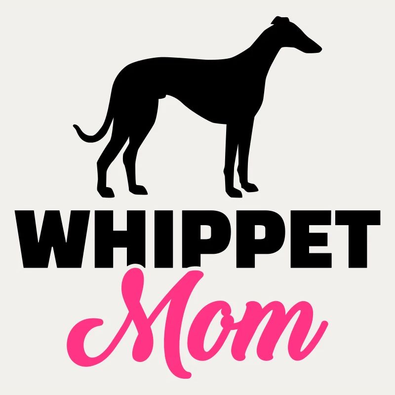 Whippet