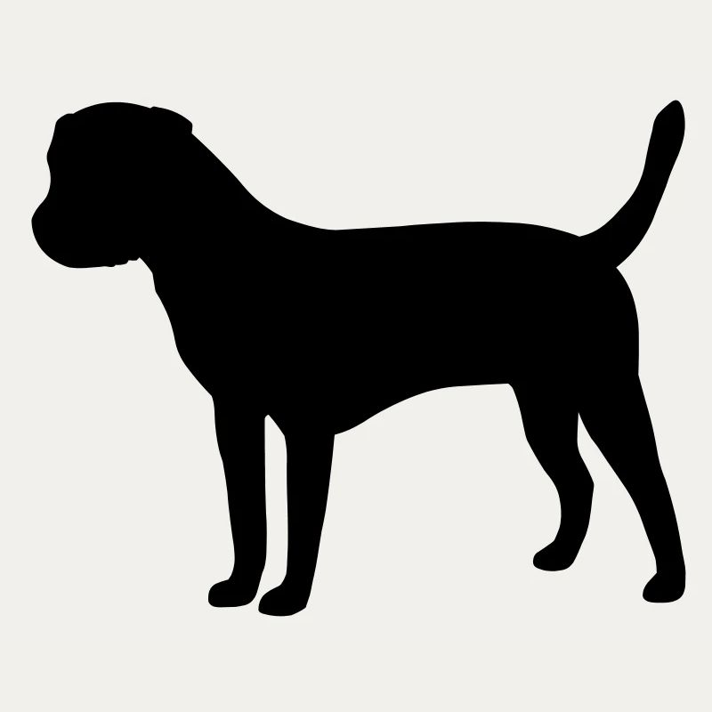 Border Terrier