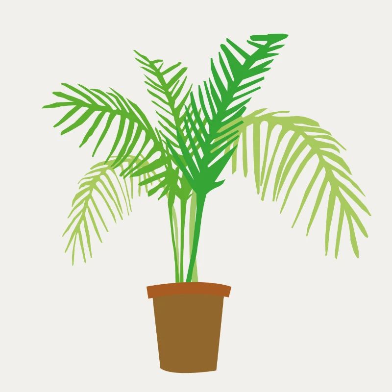palm tree
