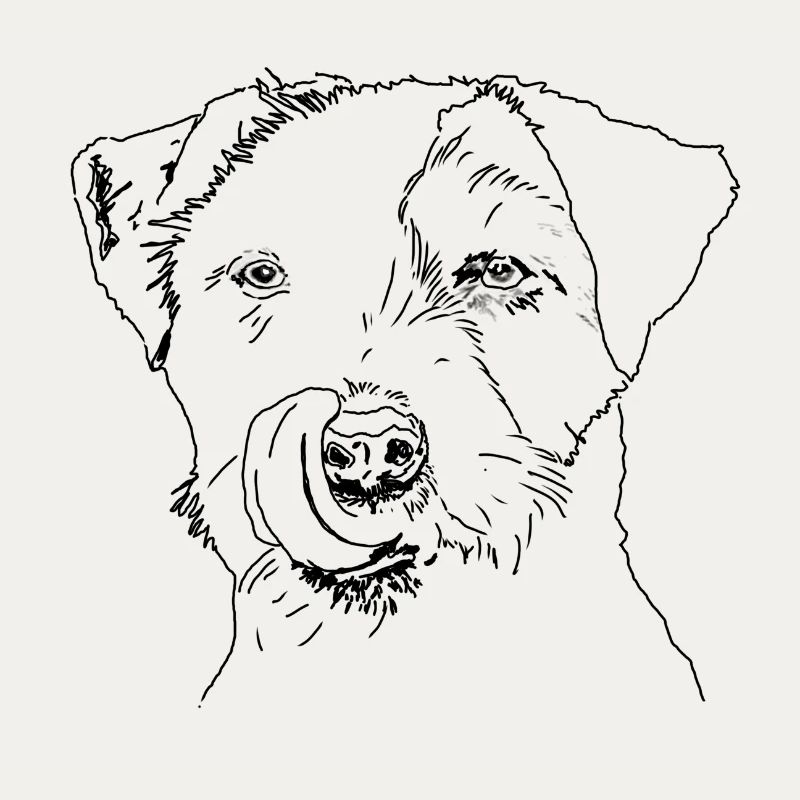 Terrier