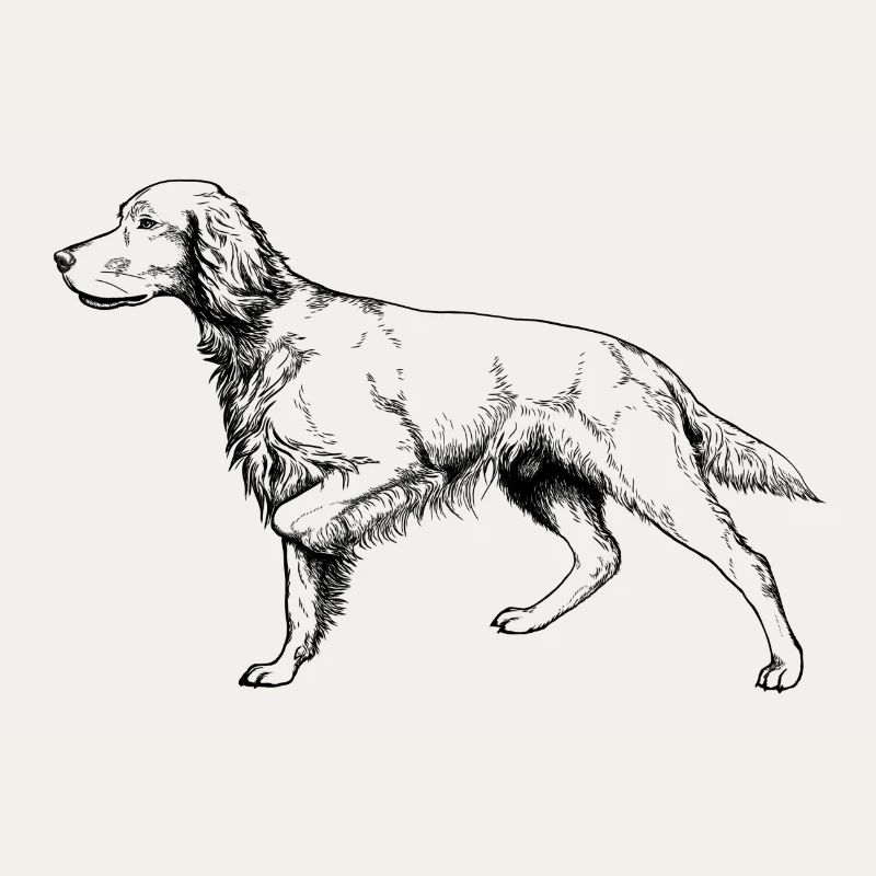 Setter vorstehend
