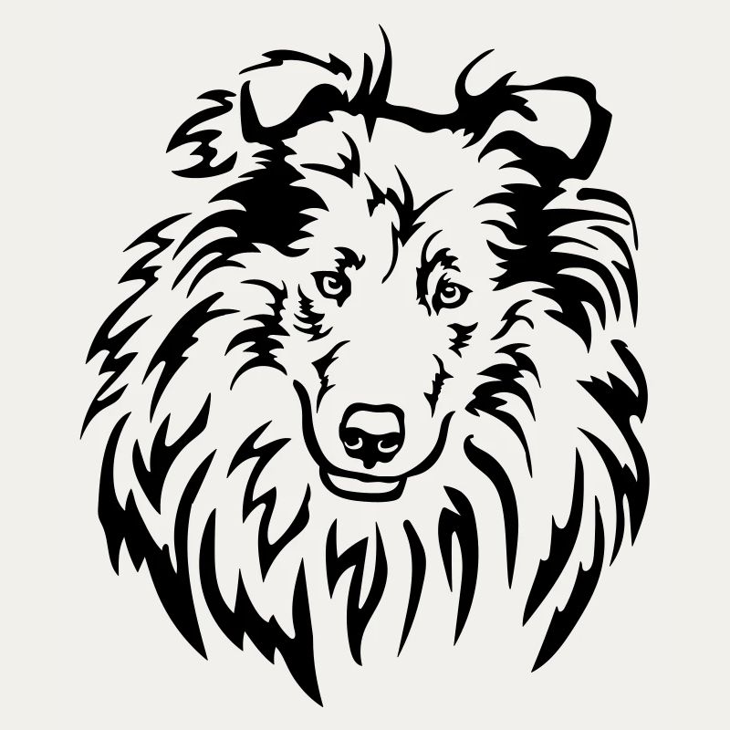 Collie Kopf