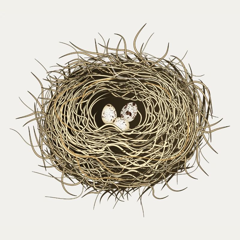 Vogelnest oder Osternest mit drei Vogel Eier