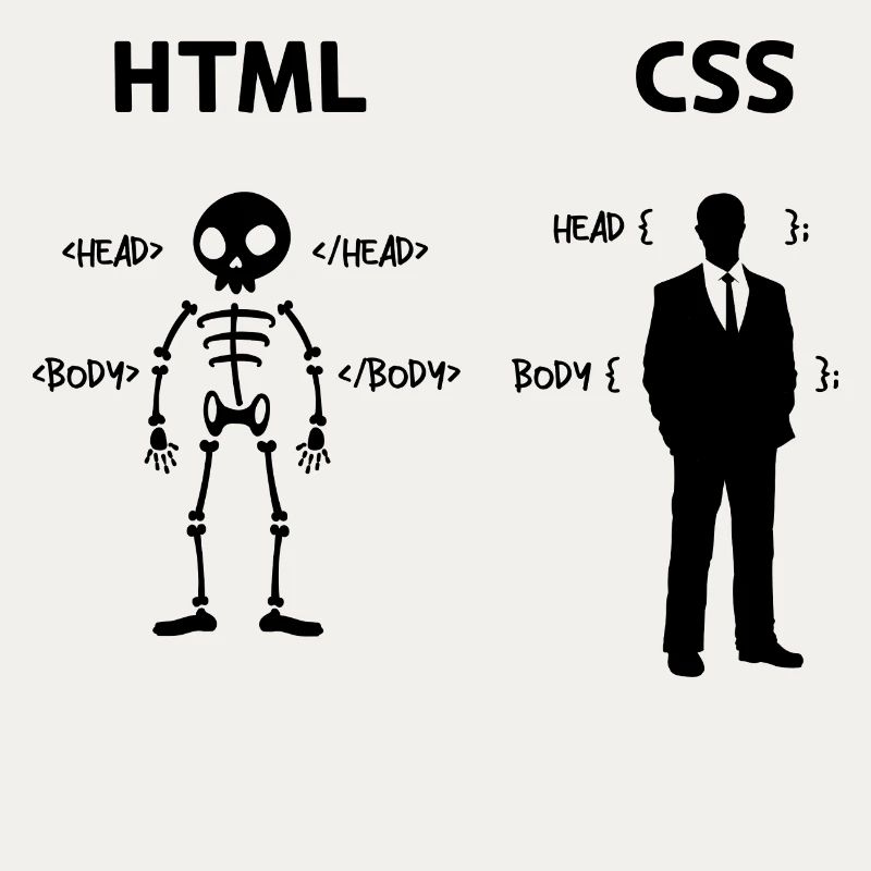 Développeur Programmeur Coden Code de script CSS