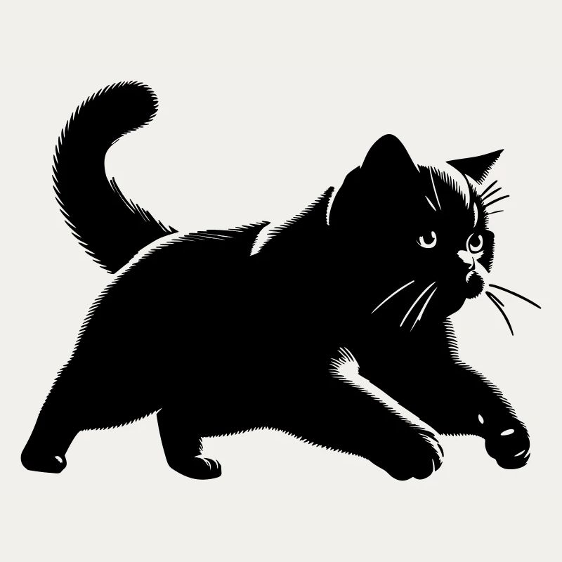 Britisch Kurzhaar Katze