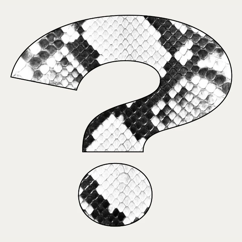 Conception de point d’interrogation de motif de peau de serpent