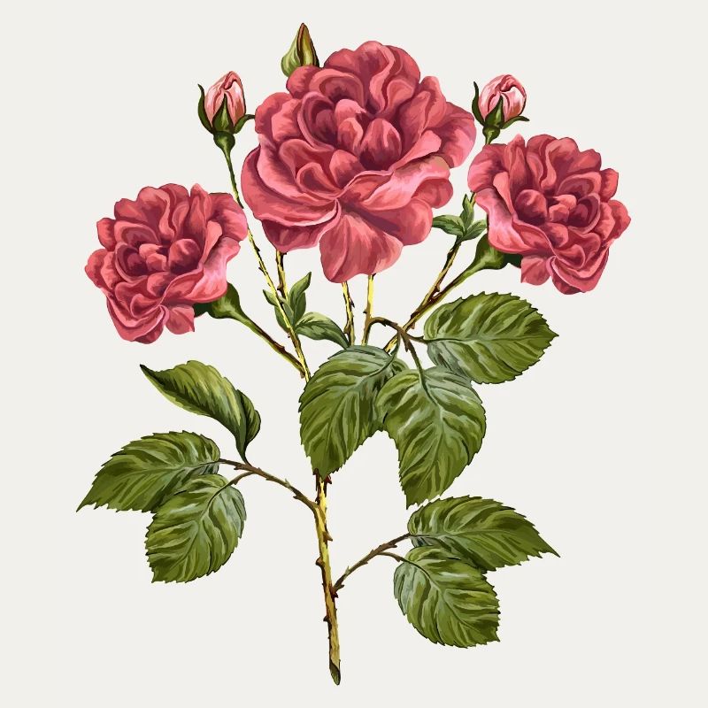 Fleur