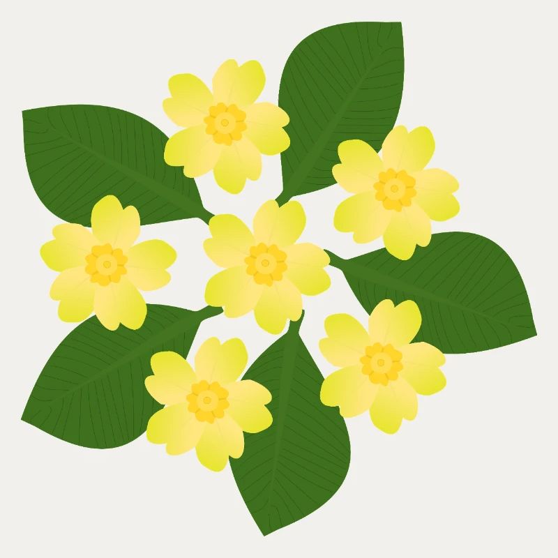 Février, Fleurs de naissance, primevères d’anniversaire, fleur d’anniversaire