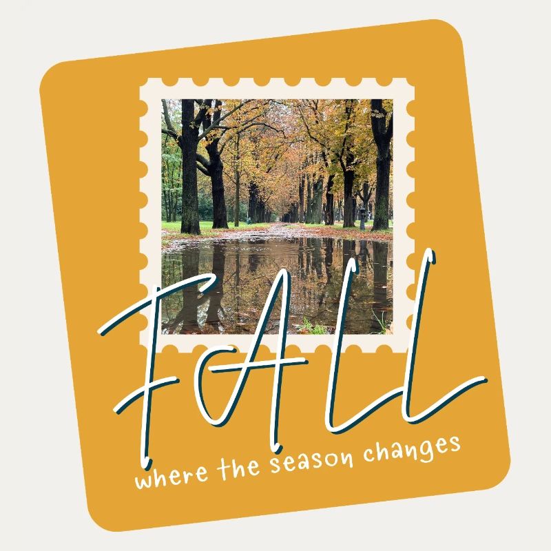 FALL Herbstpfade