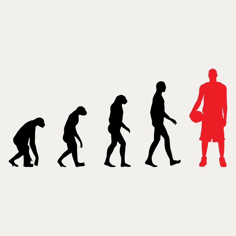 Basket Ball Evolution / Basketball 