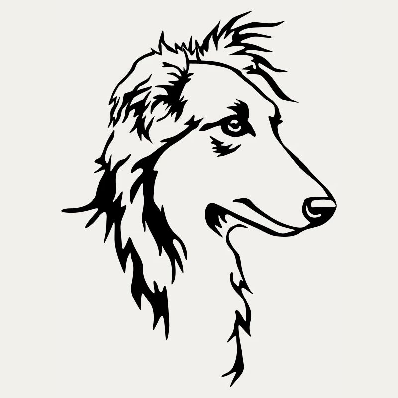 Langhaar Whippet Kopf