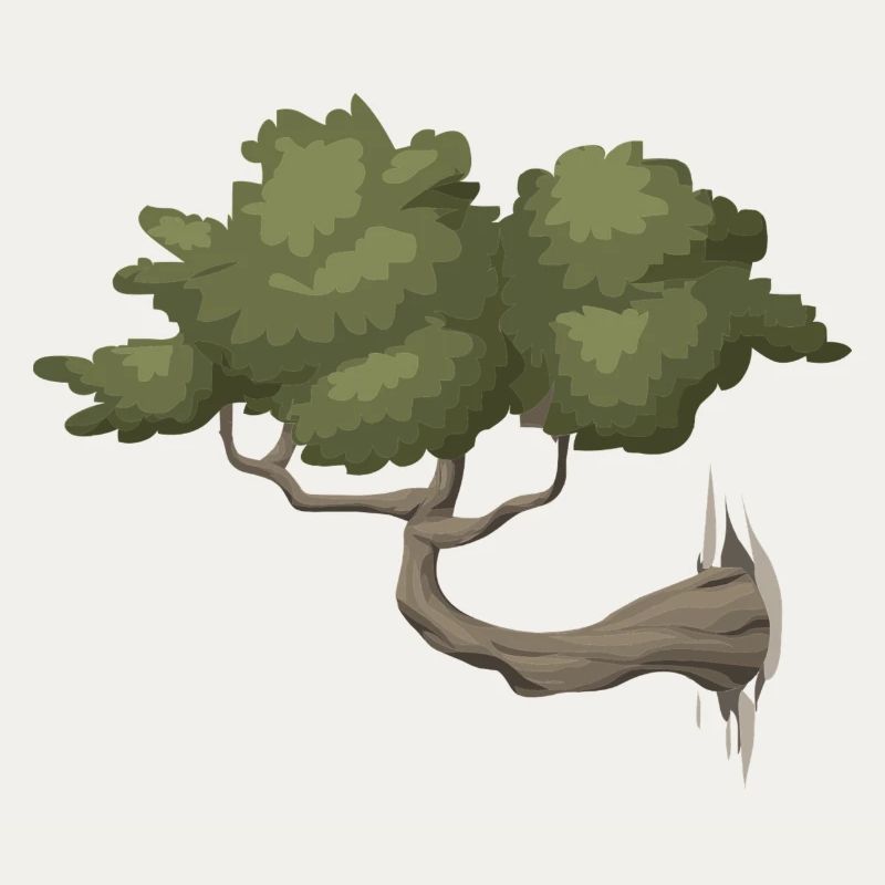 arbre