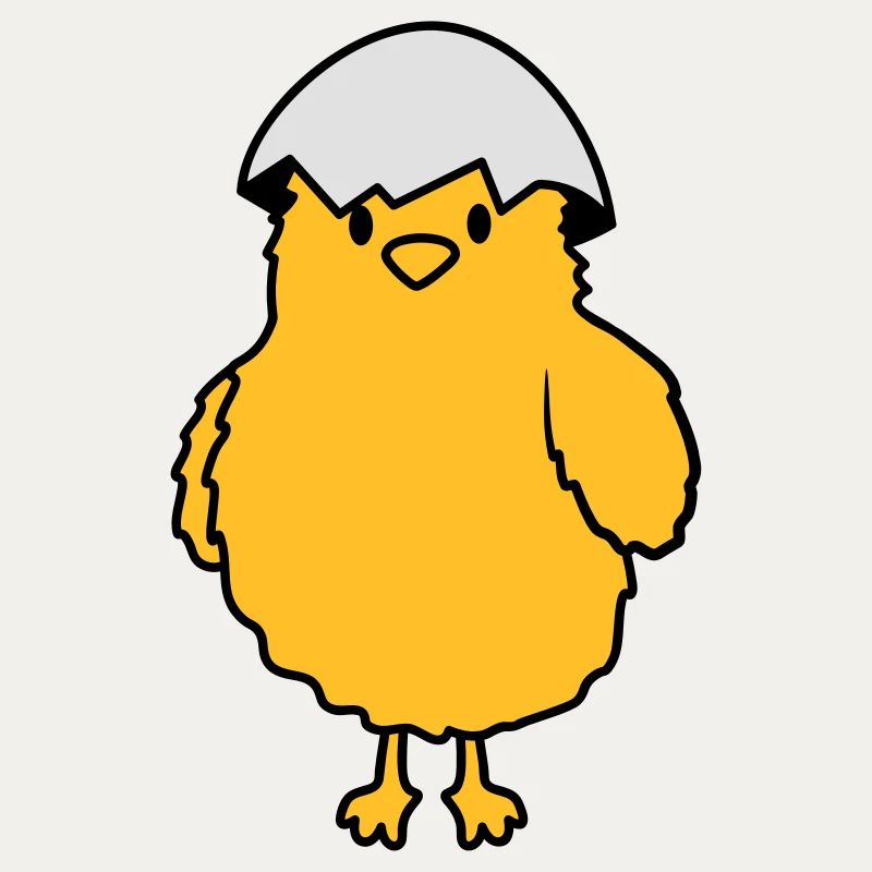 Chicks with eggshell on the head