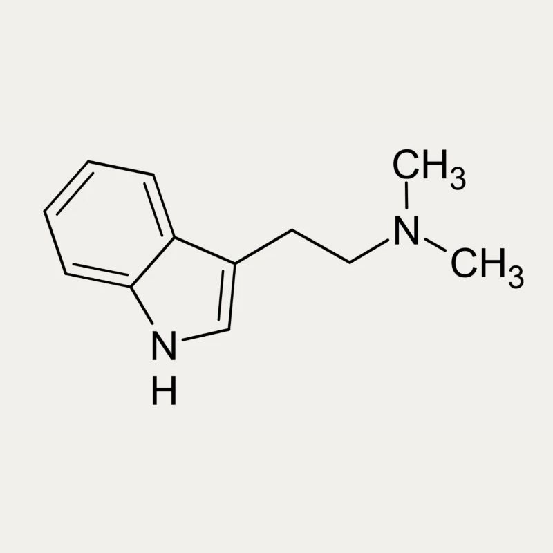DMT dimethyltryptamine formule structurelle