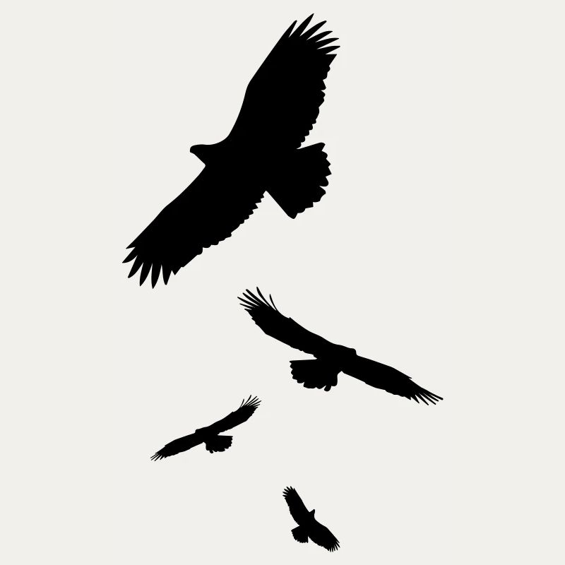 Crows