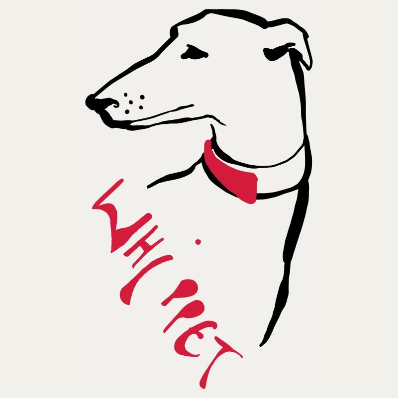 Whippet