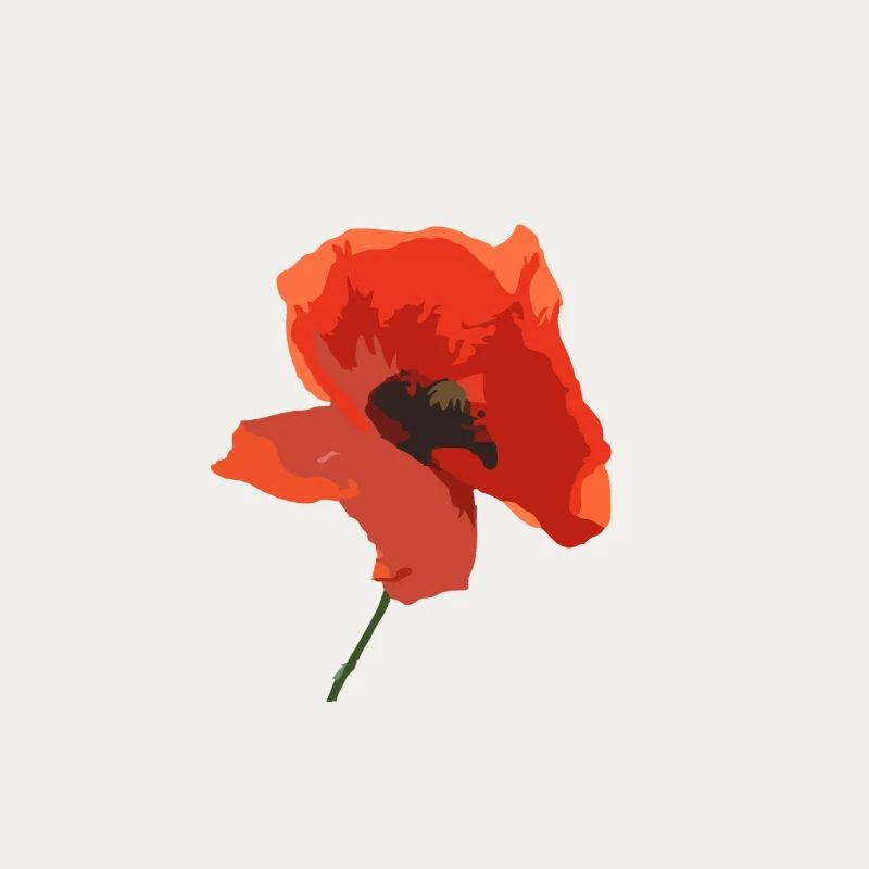 Mohn Blume