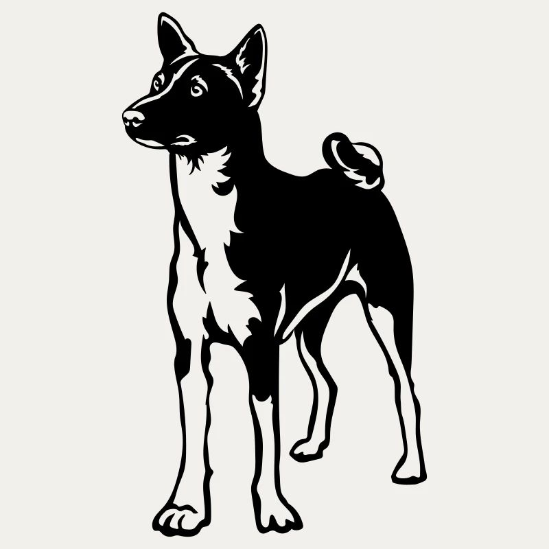 Basenji